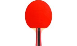 Cornilleau Sport 300
