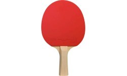 Cornilleau Sport 100