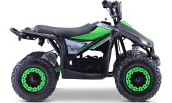 Quad E-STAR vehicle Green