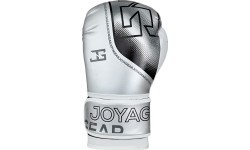 Joya Evolution Kickboxing gloves silver