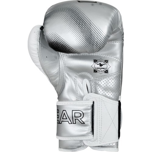 Joya Evolution Kickboxing gloves silver