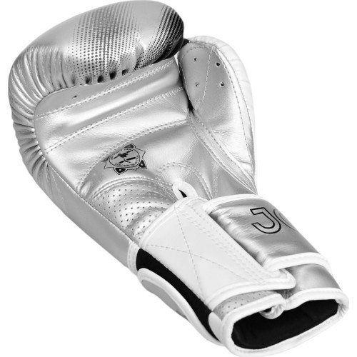 Joya Evolution Kickboxing gloves silver