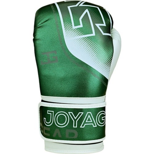 Joya Evolution Kickboxing gloves green