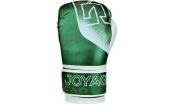 Joya Evolution Kickboxing gloves green