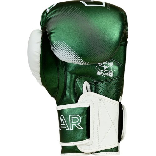 Joya Evolution Kickboxing gloves green