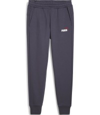 Puma Ess+ 2 Col Logo men's sweatpants, purple 586767 69
