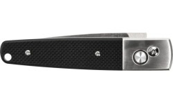 Folding Knife Ganzo Firebird F7211-BK