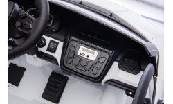 Lamborghini Revuelto XL White vehicle