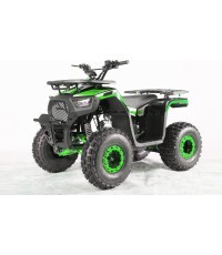 Квадроцикл 120CC DISCOVERER зеленый
