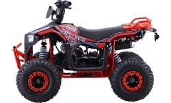 Квадроцикл бензиновый 110CC Explorer, красный