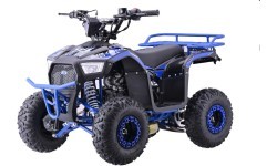 Квадроцикл бензиновый 110CC EXPLORER, синий