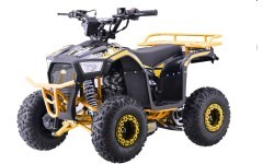 Quad Bike Petrol 110CC EXPLORER Yellow
