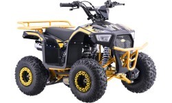 Quad Bike Petrol 110CC EXPLORER Yellow