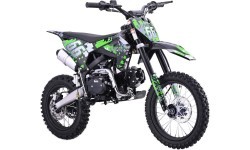 Vehicle Internal Combustion Engine 110CM IMMORTAL Green