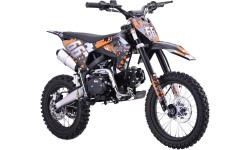 Транспортное средство с ДВС IMMORTAL 110CM, оранжевое