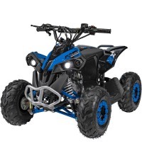 Квадроцикл RENEGADE HIPERFECT 110CC Blue
