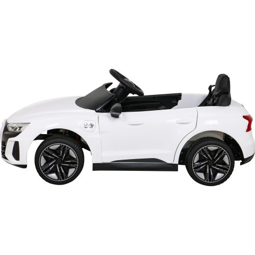 Audi RS E-Tron GT White