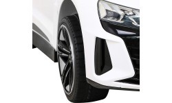 Elektromobilis Audi RS E-Tron GT, balts