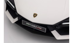 Lamborghini Revuelto White vehicle