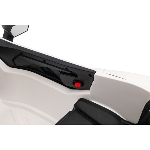 Lamborghini Revuelto White vehicle