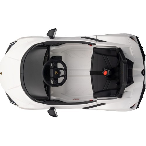 Lamborghini Revuelto White vehicle