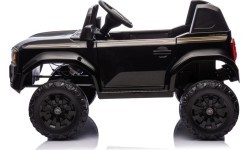 Vehicle Toyota Land Cruiser PRADO Black
