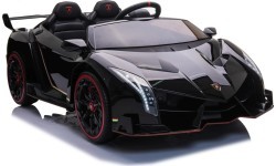 Vehicle Lamborghini Veneno Black