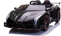 Vehicle Lamborghini Veneno Black