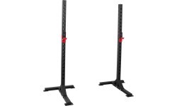 Pietupienu statīvs Pivot Fitness 862SS