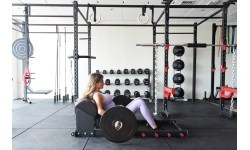 Pivot Fitness PM131 Professional Hip Thruster