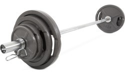 Набор олимпийских чугунных дисков Newton Fitness OP-80