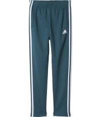Adidas bikses pusaudžiem YB 3S FT PANT Green BQ2836