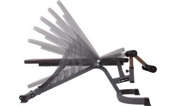 Multi-Purpose Bench inSPORTline Profi Sit Up Bench