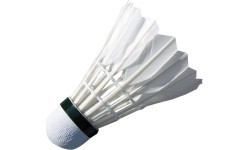 Badmintona spalvas Spartan Feather (6 gab.)