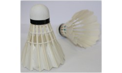 Badmintona spalvas Spartan Feather (6 gab.)