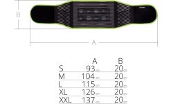 Magnetic Bamboo Kidney Belt inSPORTline
