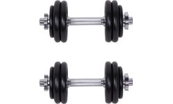 Barbell and Dumbbell Set with a Case inSPORTline 50 kg