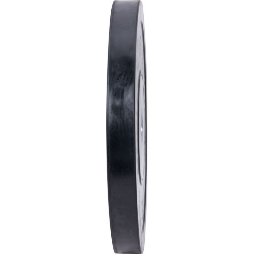 Обрезиненный весовой диск inSPORTline Bumper Plate 20 кг