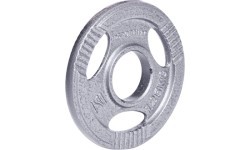 Олимпийский стальной диск inSPORTline Hamerton 1,25 кг
