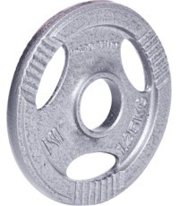 Tērauda atsvars 30mm satvērējamam 30mm inSPORTline Hamerton 1,25kg