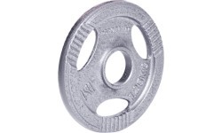 Tērauda atsvars 30mm satvērējamam 30mm inSPORTline Hamerton 1,25kg