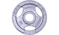 Tērauda atsvars 30mm satvērējamam 30mm inSPORTline Hamerton 1,25kg