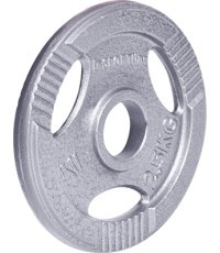 Tērauda atsvars 30 mm satvērējamam 30 mm inSPORTline Hamerton 2,5 kg