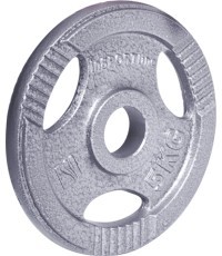 Tērauda atsvars 30mm satvērējamam 30mm inSPORTline Hamerton 5kg