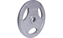 Tērauda atsvars satvērējam 30mm inSPORTline Hamerton 15kg