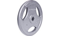 Стальная пластина inSPORTline Hamerton 25 кг