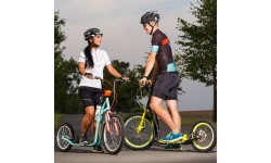Kick Scooter inSPORTline Drogo SE Black-Blue