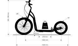Kick Scooter inSPORTline Disparo V-Brake