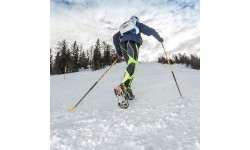 Кошки Nortec Trail