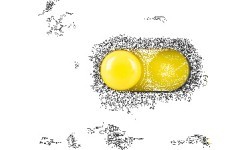 W-TEC Ivadan motocikla slēdzene 12*12*1200mm